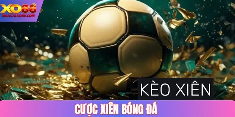 Cược Xì Nên Bóng Đá Chỉ Dẫn Cách Tính Xấu Chuẩn Nhất 2025